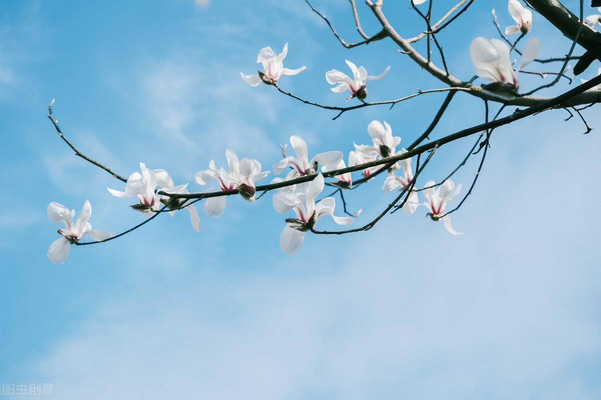 短句文案干净(留级文案短句干净)