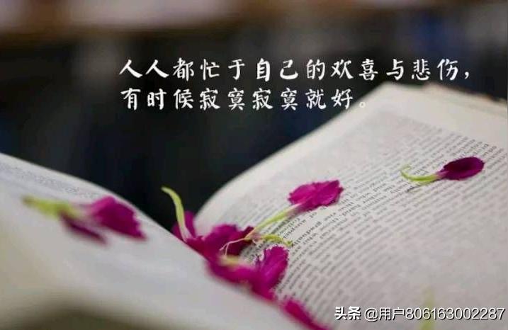 适合心情低落的句子(心情低落烦躁想哭又很压抑句子)