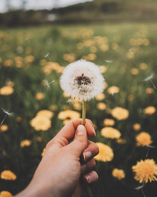 心情感慨一下(还有两个月快过年了发朋友圈感慨的短句)