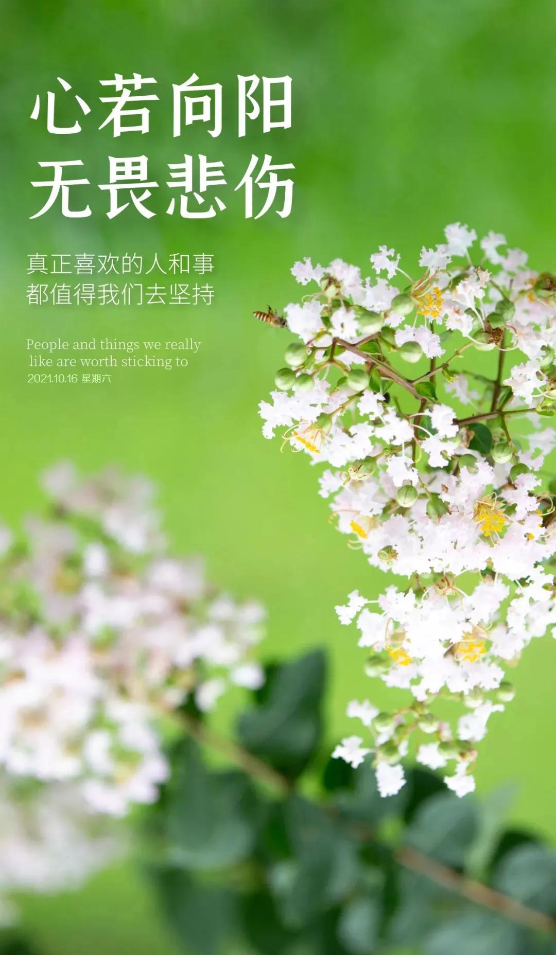 爱情说说短句 暖心语早安(给女网友早安暖心句子)