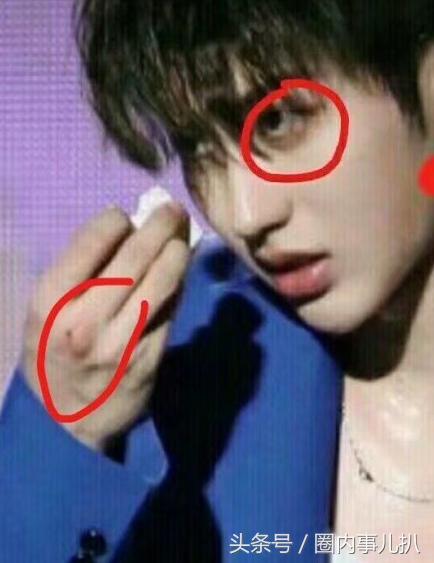 ikun黑粉语录押韵(在各自领域属于什么水平)