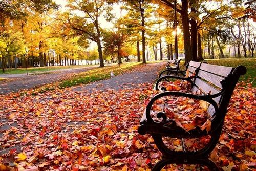 鼓励人的暖心话语(鼓励女友的暖心话)