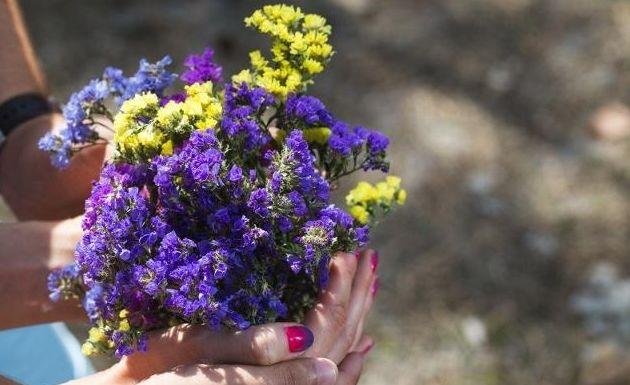 感动到哭的爱情句子(为什么感动会流泪)