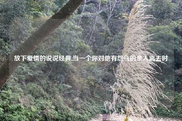 放下爱情的说说经典,当一个你对他有怨气的亲人离去时
