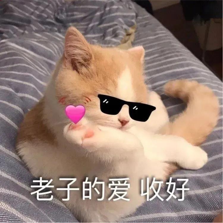 搞笑女沙雕文案(关于冬天和沙雕朋友的文案)