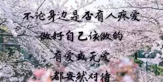 伤感语录(抑郁症发的伤感语句)