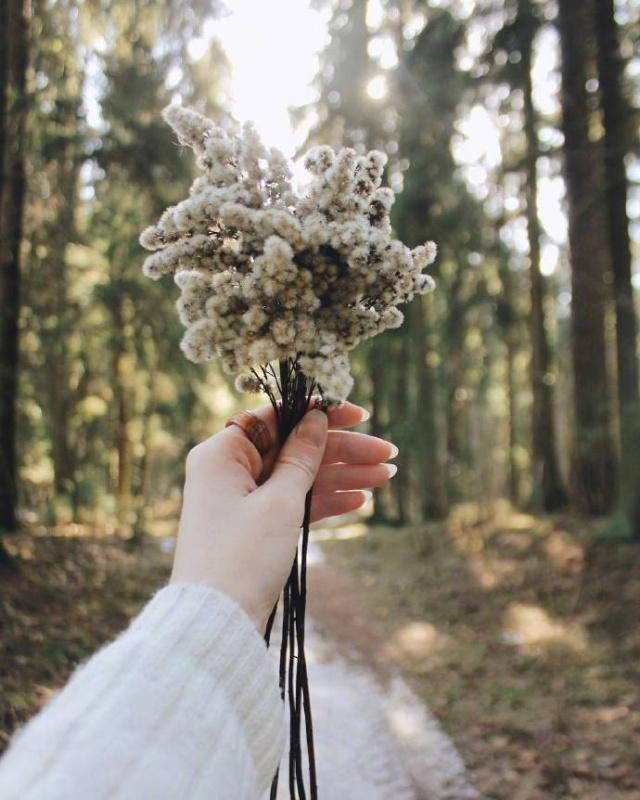 个性签名简短有内涵(有哪些简单却有深意的句子)