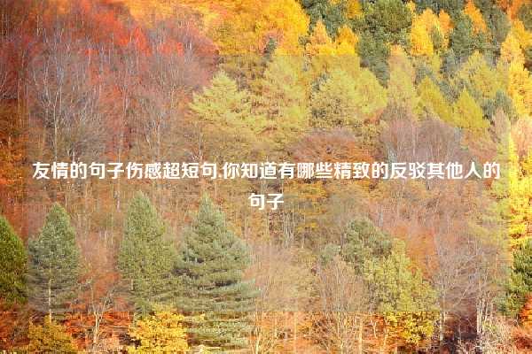 友情的句子伤感超短句,你知道有哪些精致的反驳其他人的句子