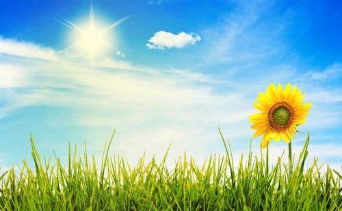 情商高的一句话签名(存在着哪些不为人知的秘密)