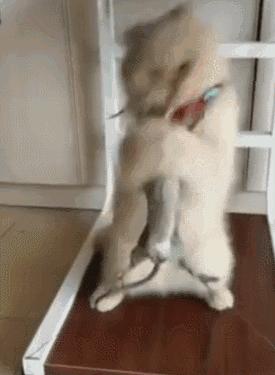 搞笑语录2020短句幽默大全(怎么做一个搞笑的逗逼)