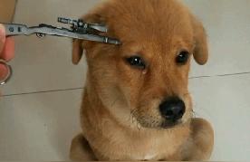 搞笑语录押韵顺口溜(单人搞笑快板顺口溜)