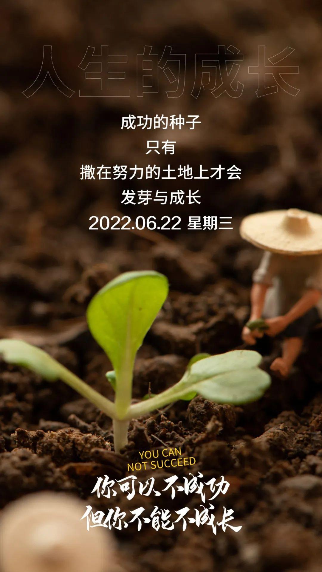 语录文案短句(麦吉丽朋友圈文案)