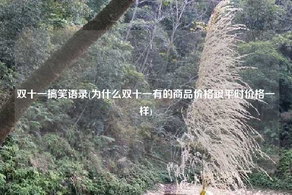双十一搞笑语录(为什么双十一有的商品价格跟平时价格一样)