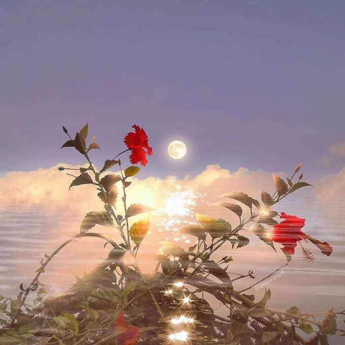 短句文案爱情(2021恋爱的走心的文案句子)