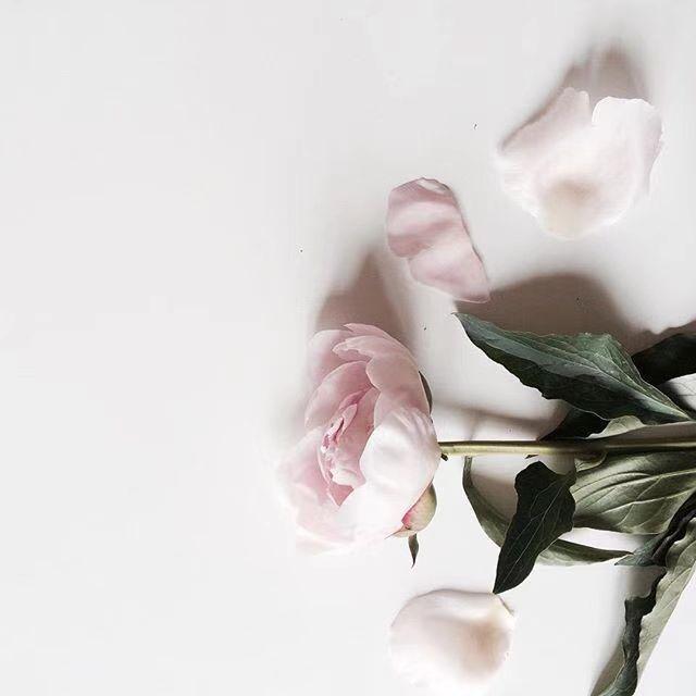 虐心文案(伪装学渣虐心文案)