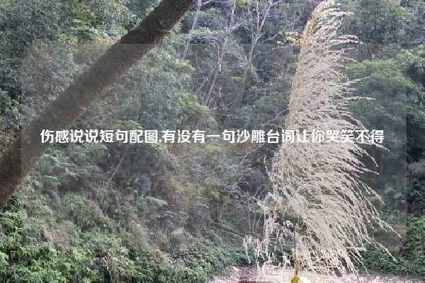 伤感说说短句配图,有没有一句沙雕台词让你哭笑不得