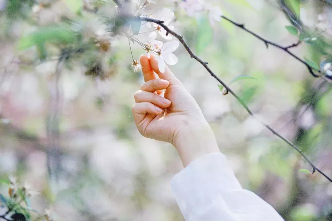 伤感无奈心痛的句子(能否推荐几部劲爆的电影)