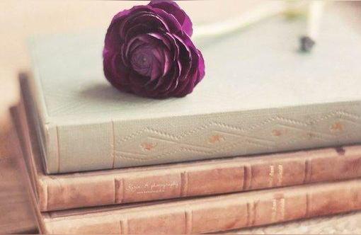 爱情说说短句 暖心语八字(情感短句深情且动人句句暖心情侣)