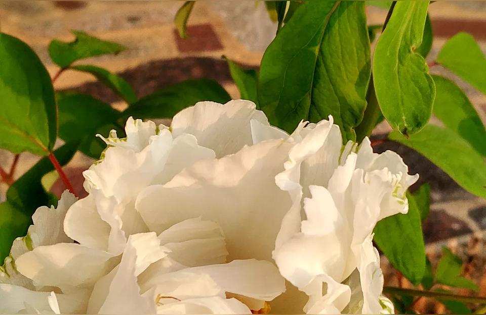 伤感说说2022最新致自己(2022最红伤感歌男士唱的)