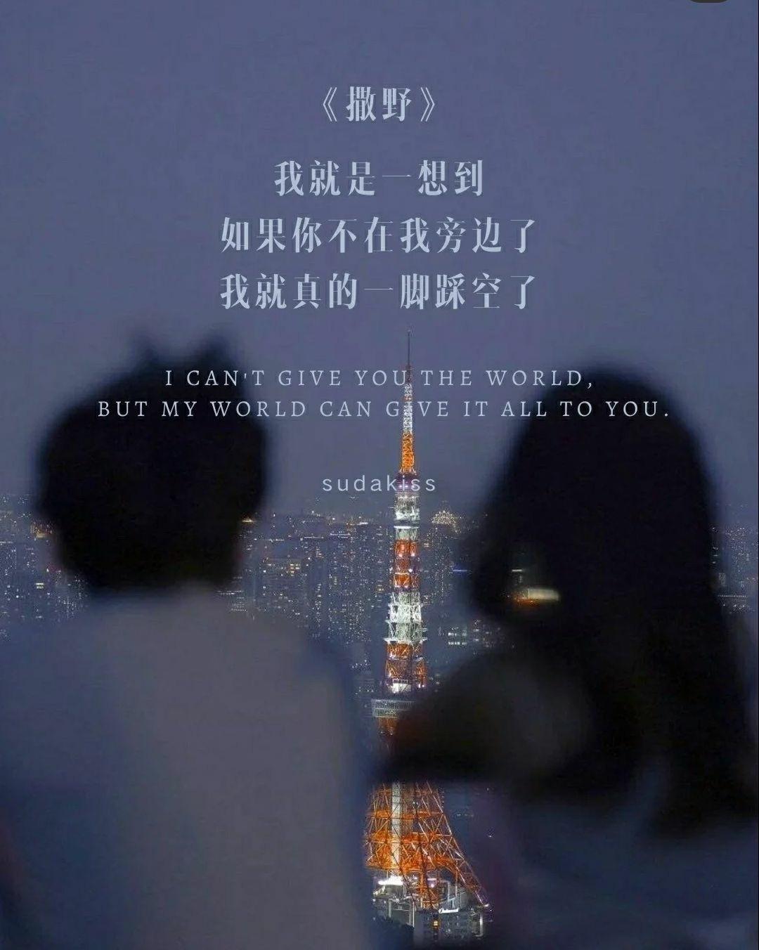 丧系语录(丧系语录诗句)