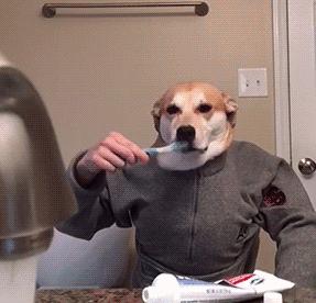 搞笑女个性签名(有哪些幽默搞笑的说说可以推荐呢)