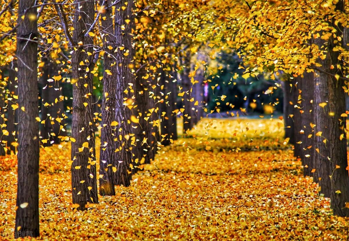 语录文案治愈(关于尼克杨的伤感语录)