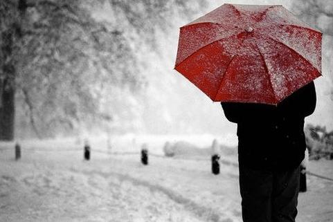 心情短语唯美(幸福的句子唯美短句干净治愈)