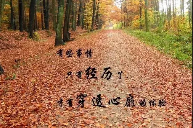 心情说说感悟人生短句(打工说说心情短语人生感悟)