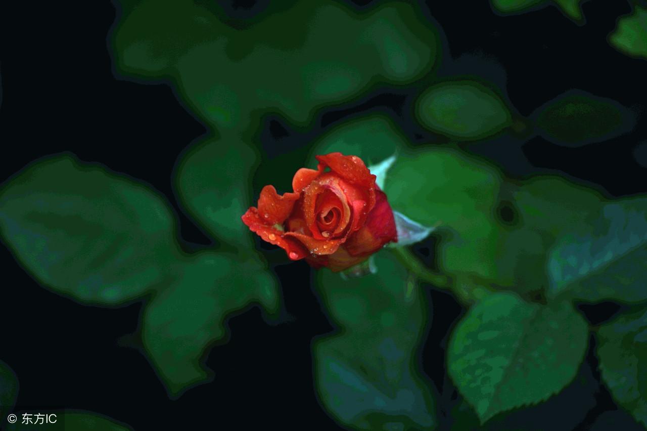 爱情说说我的心里话歌词(秦梦瑶朝阳沟亲家母对唱歌词)