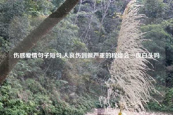 伤感爱情句子短句,人哀伤到很严重的程度会一夜白头吗