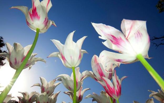 浪漫的爱情句子(你们有哪些珍藏好久的句子)