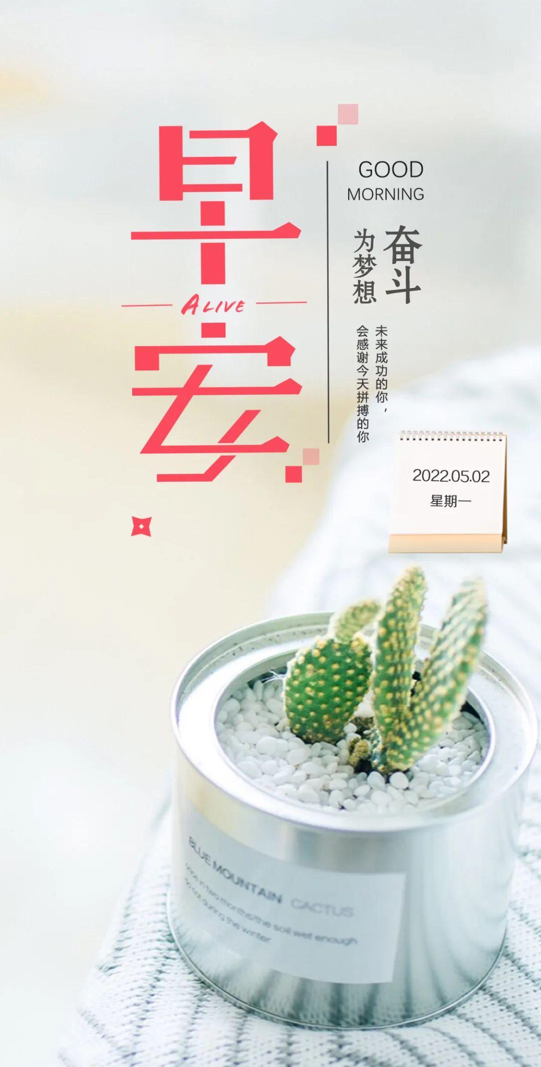 语录文案(文案社会经典语录)