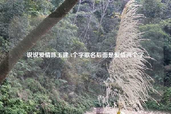 说说爱情陈玉建,4个字歌名后面是爱情两个字