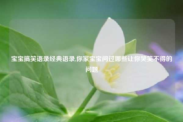 宝宝搞笑语录经典语录,你家宝宝问过哪些让你哭笑不得的问题