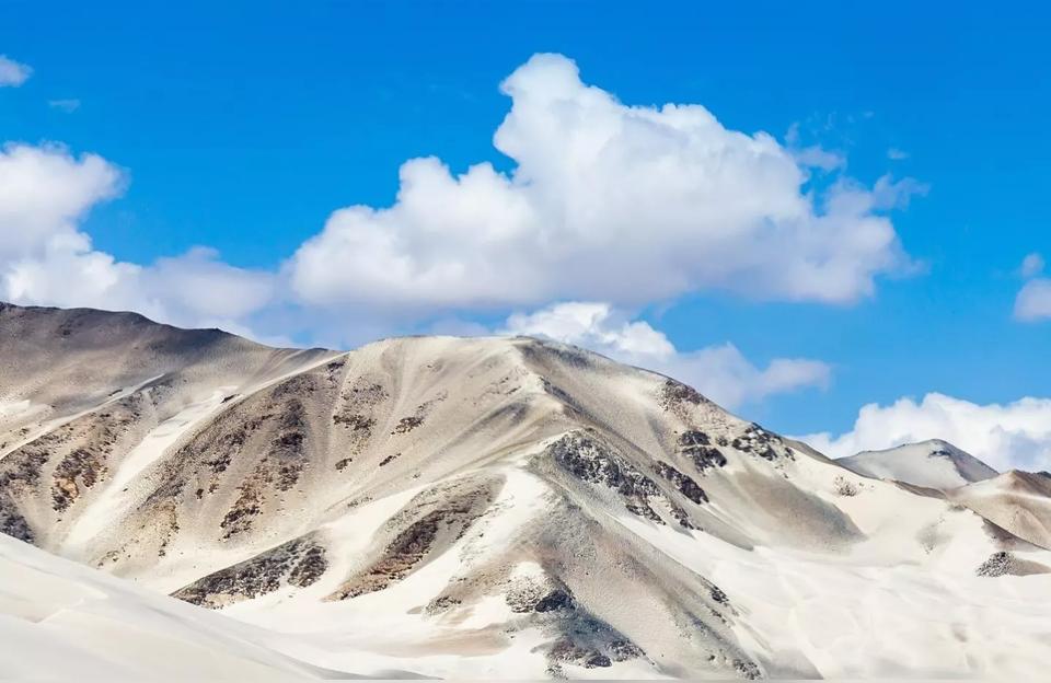 最火文案短句搞笑(茶文案短句干净幽默2021)